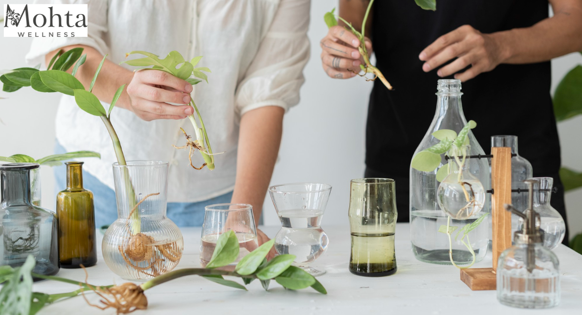 Ayurvedic product manufacturer